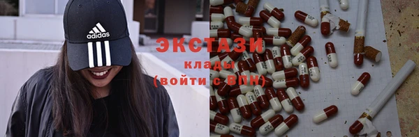 стаф Аркадак