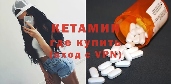 стаф Аркадак
