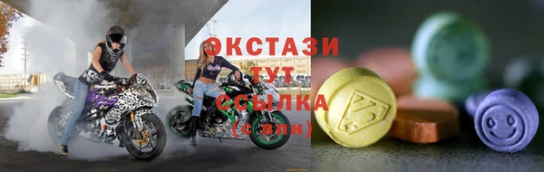 стаф Аркадак