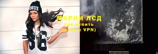 стаф Аркадак