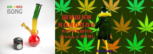 стаф Аркадак