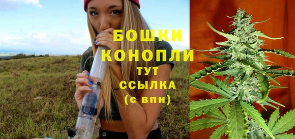 стаф Аркадак