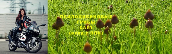 дурь Армянск