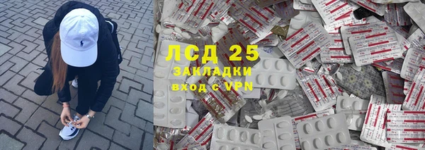 стаф Аркадак