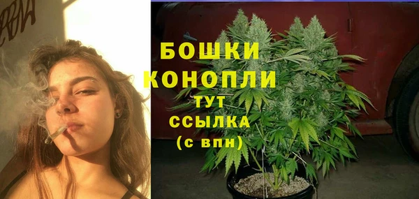 эйфоретик Арсеньев