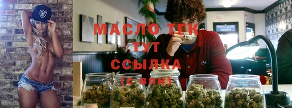 стаф Аркадак