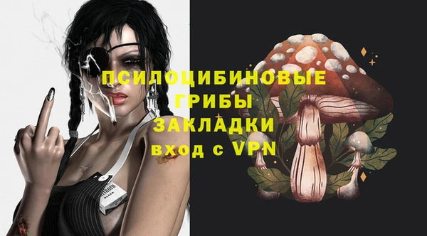 индика Балабаново