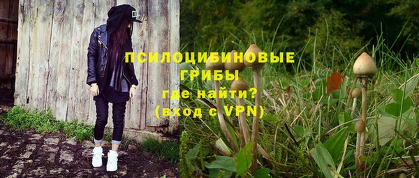 стаф Аркадак