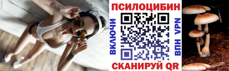 цены   Бахчисарай  Галлюциногенные грибы Psilocybine cubensis 